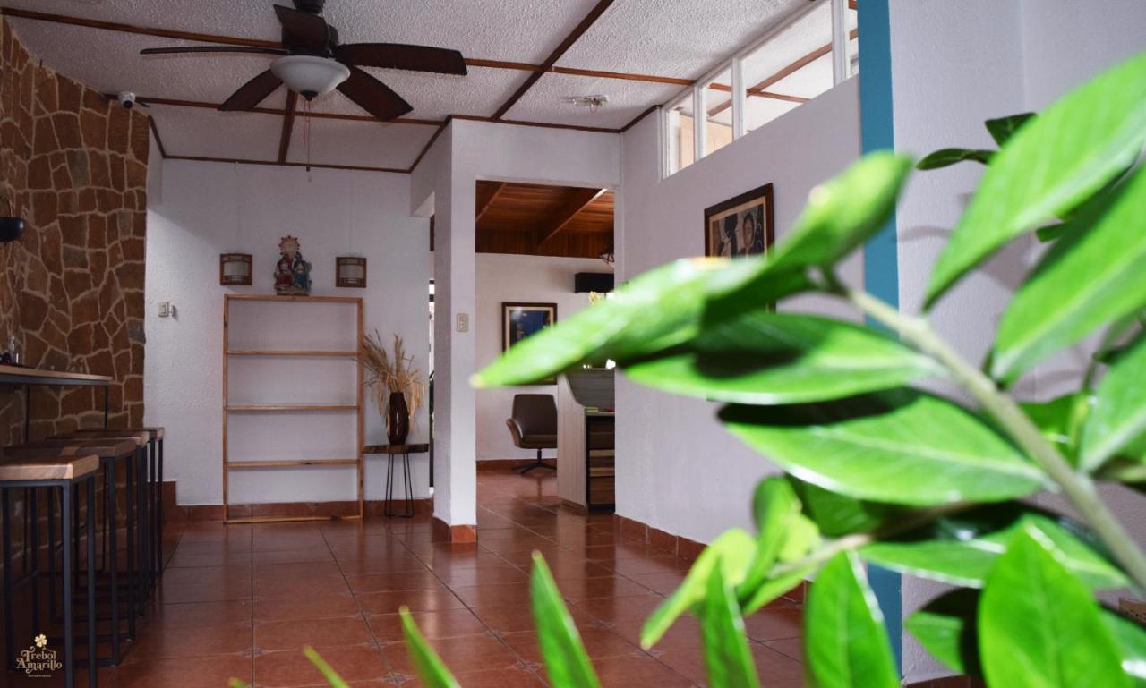 Trebol Amarillo Bed & Breakfast Escazú エクステリア 写真