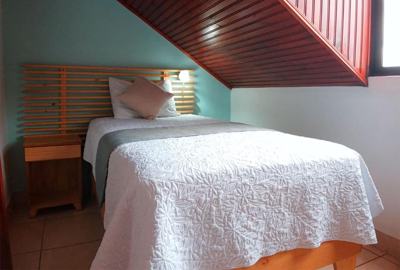 Trebol Amarillo Bed & Breakfast Escazú エクステリア 写真