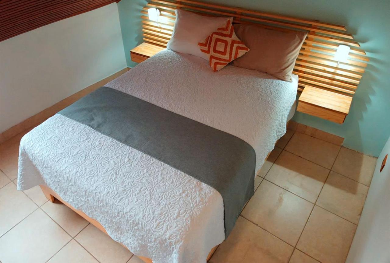 Trebol Amarillo Bed & Breakfast Escazú エクステリア 写真